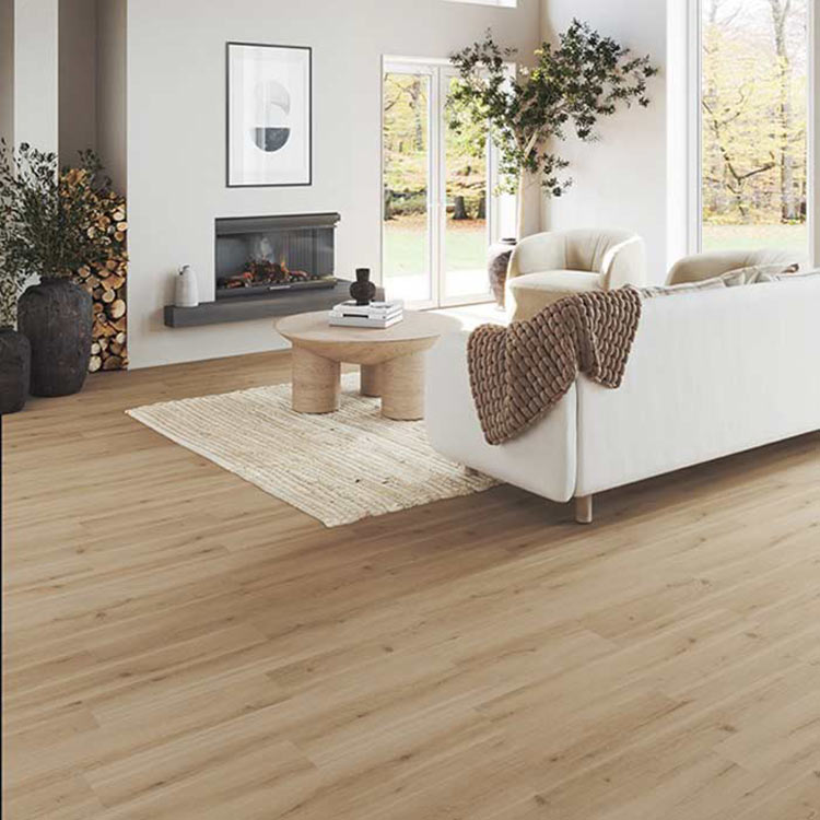 room scene with hardwood floor