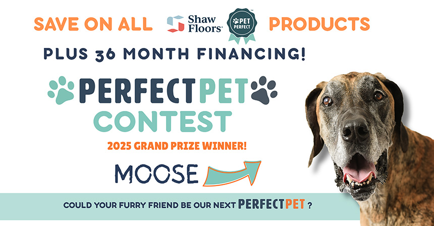 Perfect Pet Contest 6/1-8/15
