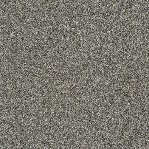 Anise Carpet Swatch