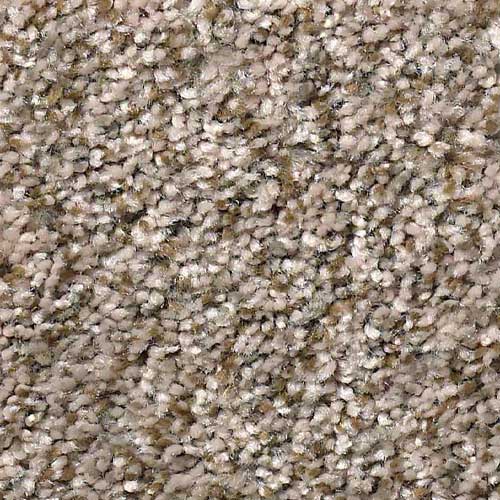 Sickle Pod Carpet Swatch