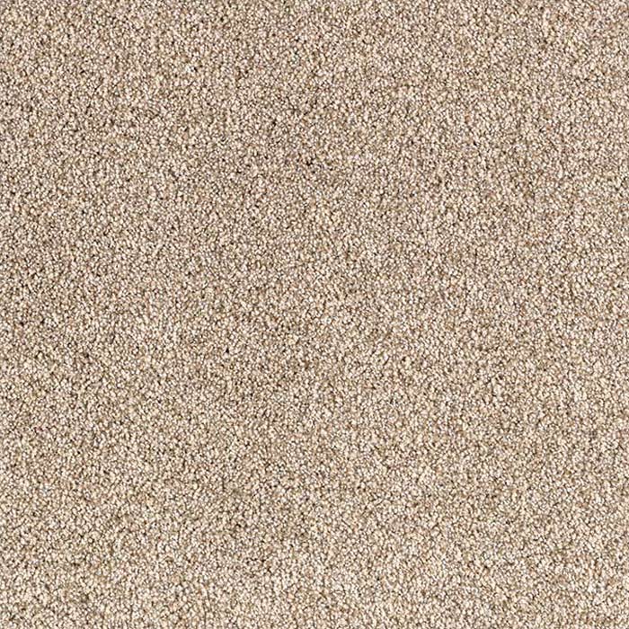 Ecru Carpet Swatch